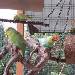 Frische Luft