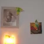 Die Bilder