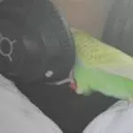 Musik hören