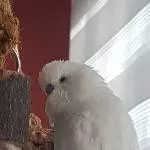 Mein kleiner Filou