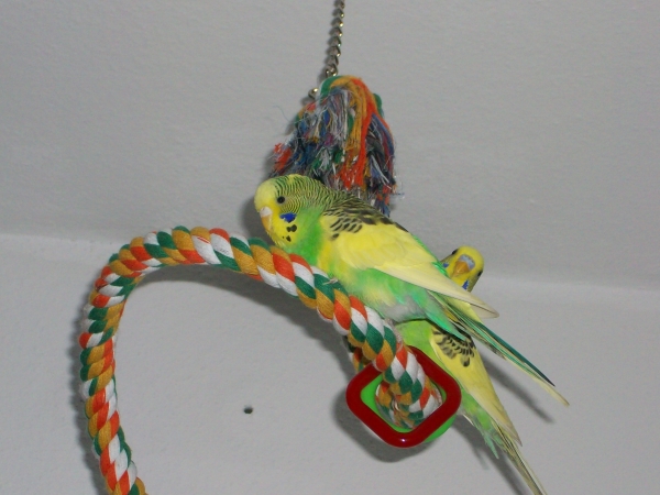 Lilu