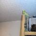Ich habe den höchsten Platz im Zimmer und der gehört nun mir!