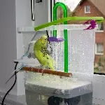 Knuspertüten
