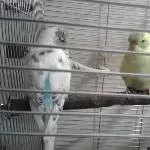 Meine beiden Jungs 