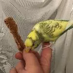 Test Test