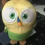 Welli auf Arbeit