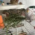 Gestatten - Monty ist mein Name