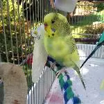 Unsere Sammy