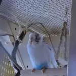 Yuki, soo müde.