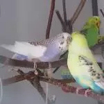 Ina ist unzufrieden