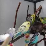 So und jetzt alle mal gelangweilt gucken