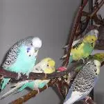 Die bunte Truppe hat sich positioniert
