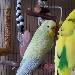 Lilly und Linda, die vllt ein Paul ist....