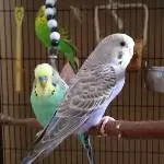Kuki mit Sylvester und Anna