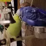 Lilly und Nicky