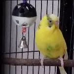 Linda/Paul  (?)