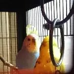 Erste Annäherung Paul und Sweety