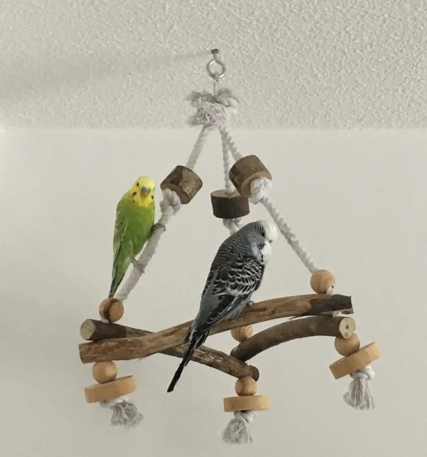 Wellensittich-Bild: Mit Klettern kommt man auch nach oben!