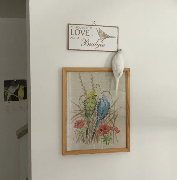 Wellensittich-Bild: ... und einen Wellensittich (budgie)!