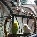 Pärchen in der Sonne