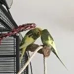 Endlich wird gekrault