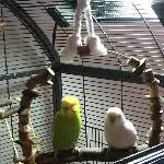 Pärchen in der Sonne