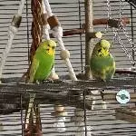 Pause auf dem Balkon