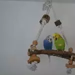 Die zwei auf der Pyramide