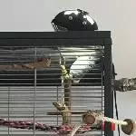 Sonne auf dem Bauch