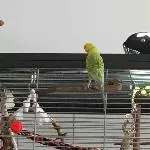 Was ist da oben los?