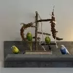 Alle Vier am Spielplatz