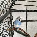 Willi Profil