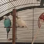 Jungs und Mädels