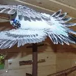 Meine Berta im Flug 