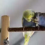 Kuschelstunde Happy und Lila