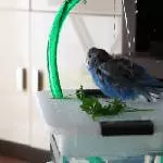 Badespaß bei 30 °C
