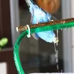 Fang den Wasserstrahl