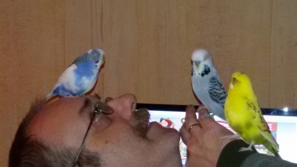 Julia