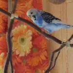 Unsere Blue