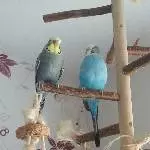 Sid und Ella