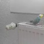 Und siehst du was?