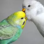 Ich hab dich lieb!