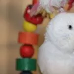 Schneeflocke
