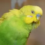 Pssst, ich schlafe noch!