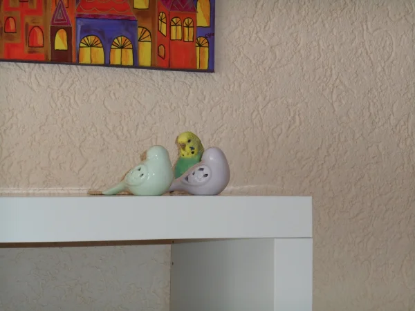Wellensittich-Bild: Holly untersucht die Keramik-Vögel ganz genau an, vielleicht bewegen sie sich ja doch und wollen mit ihr spielen.