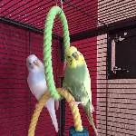 Nino und Jack