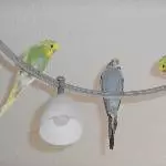 3 auf dem Aussichtspunkt