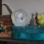 Meine Wanne - nein, meine Wanne!!