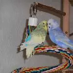 Liebe zwischen jung und alt