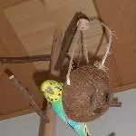 Hallo da unten!
